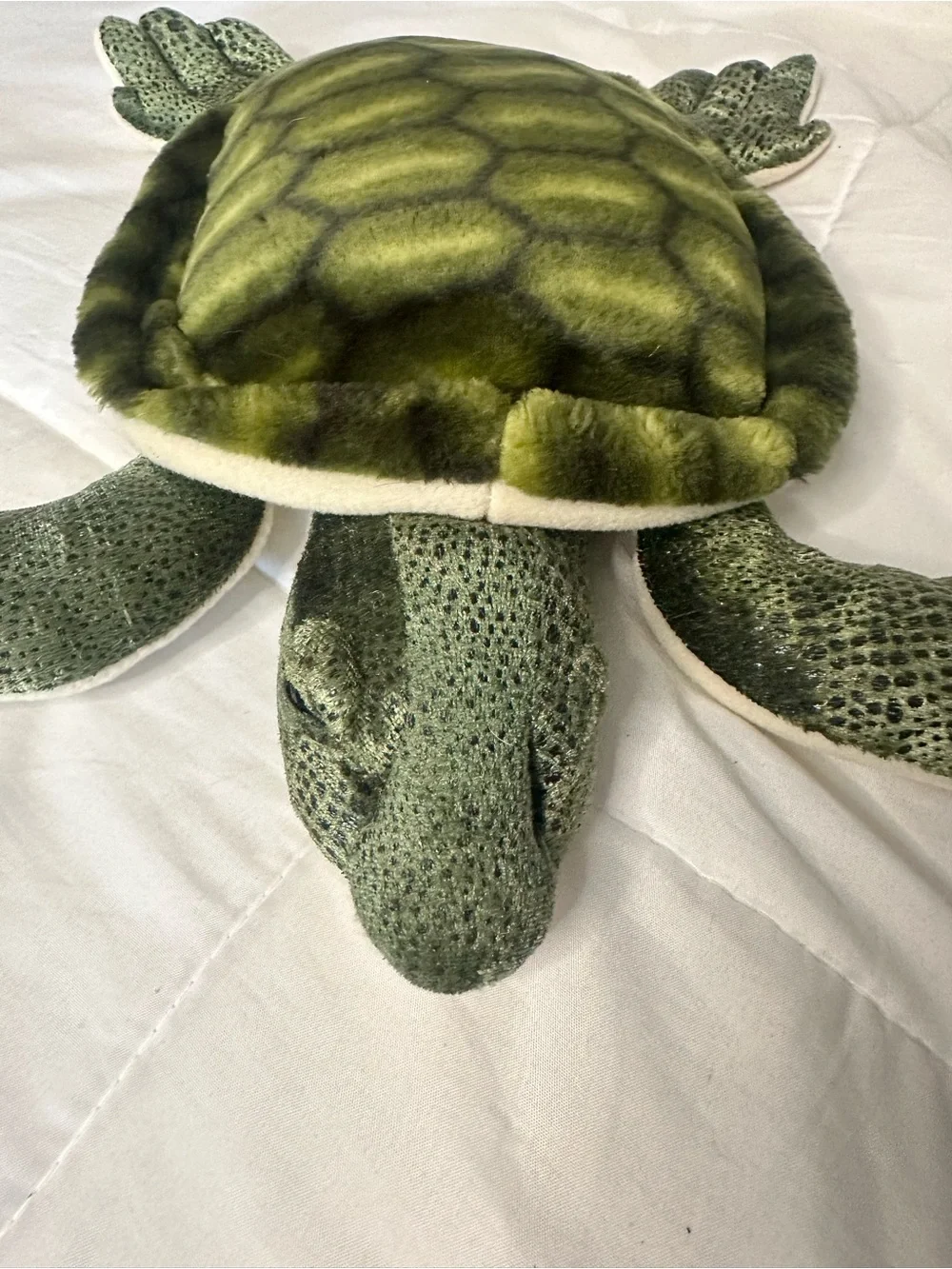 Fiesta Green Sea Turtle Plush Stuffed Animal Toy (#Y40883)